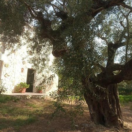 Olive Trees Villa Tragaki Exteriör bild