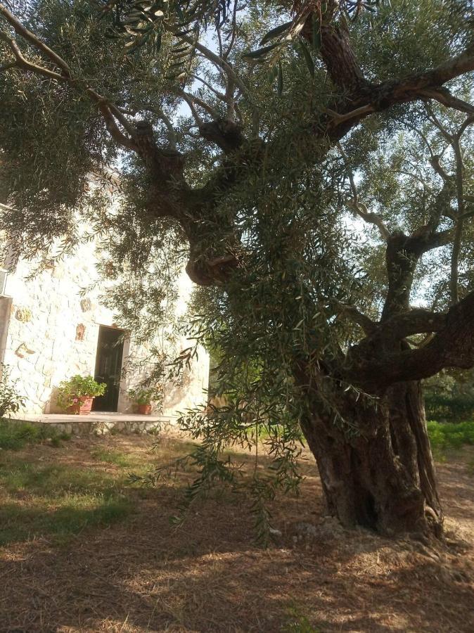 Olive Trees Villa Tragaki Exteriör bild