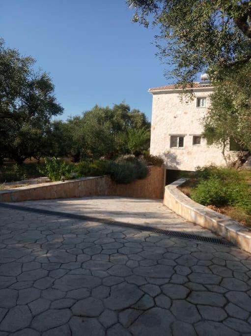 Olive Trees Villa Tragaki Exteriör bild